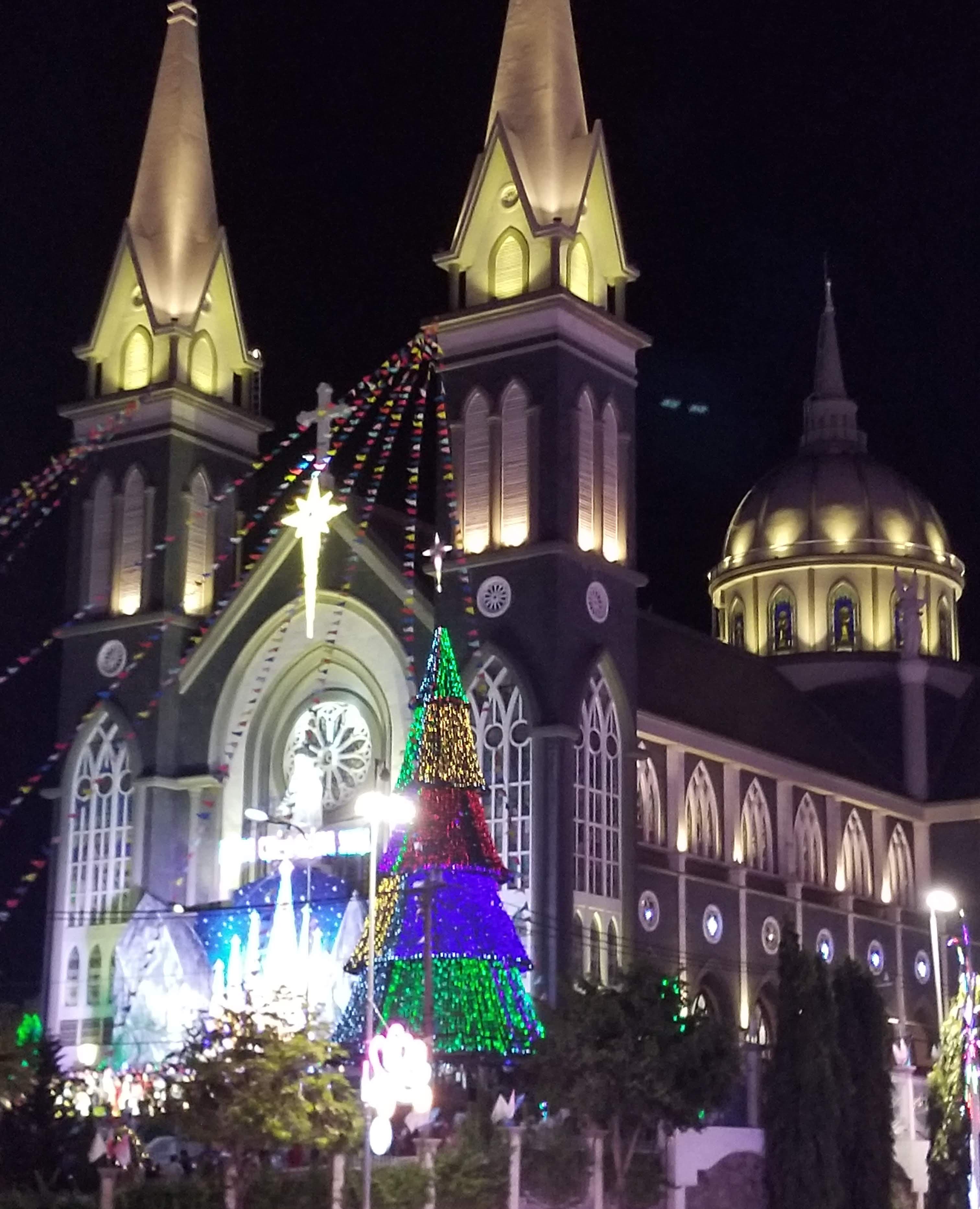 Nhà thờ Chánh tòa Phú Cường